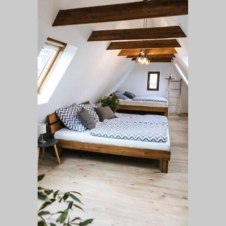 The Cozy Studio Apartment Lauf 라우프 안 데어 페그니츠 외부 사진