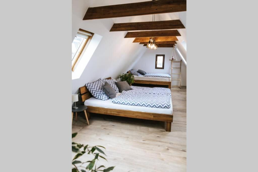The Cozy Studio Apartment Lauf 라우프 안 데어 페그니츠 외부 사진